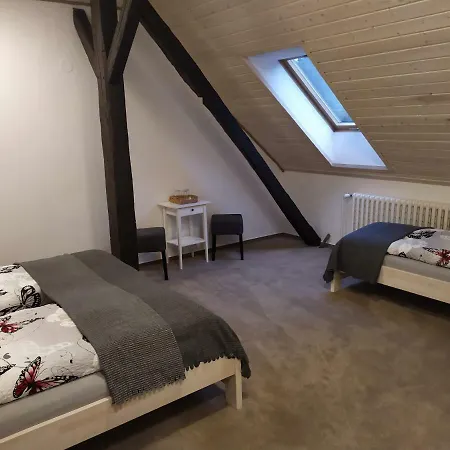 Statek Cesky Dvur Guest house