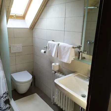 Gasthof Statek Cesky Dvur 3*