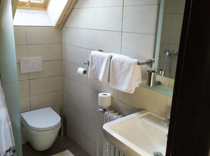 Гостевой дом Statek Cesky Dvur 3*